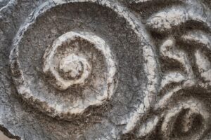 Ammonit-Stein und Sternzeichen – Welche Sternzeichen mit dem Ammonit in Verbindung gebracht werden